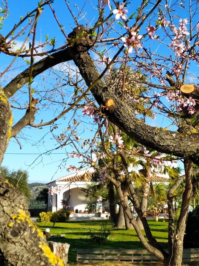 La Tenora Villa Tivenys Kültér fotó